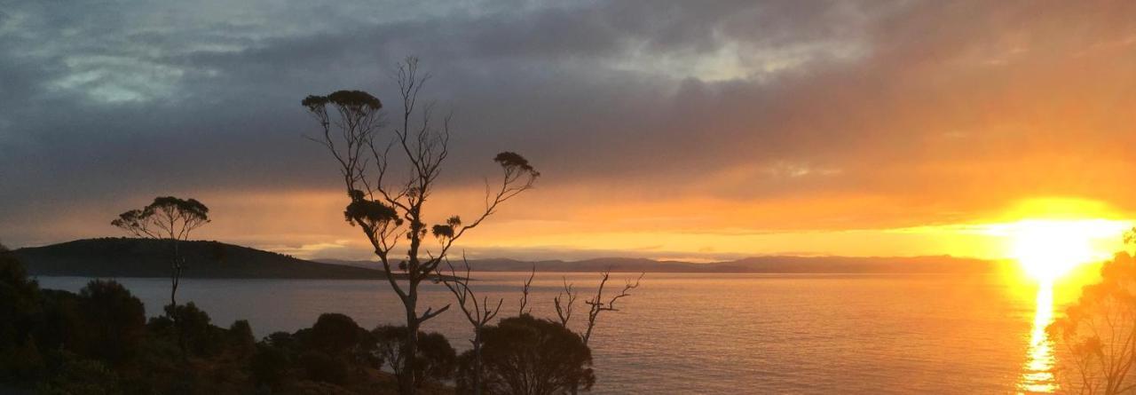 Chill Tasmania Villa White Beach Dış mekan fotoğraf